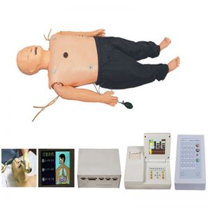 Senior multifunctional adult first aid training simulator